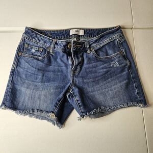 CAbi Distressed Blue Jean Shorts